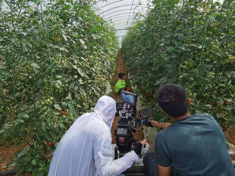 梁山县产品宣传视频拍摄公司进阶指南，助力品牌抢占传播高地